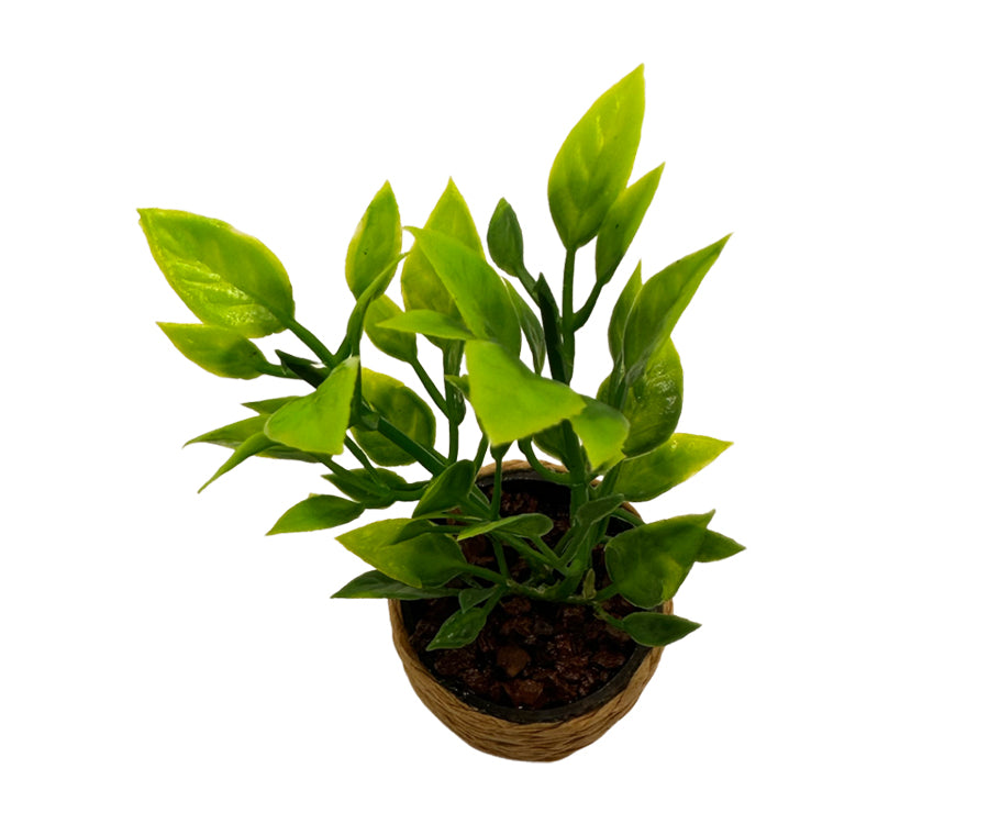 Miniatyr – Blomma i kruka för dockhus, grön krukväxt