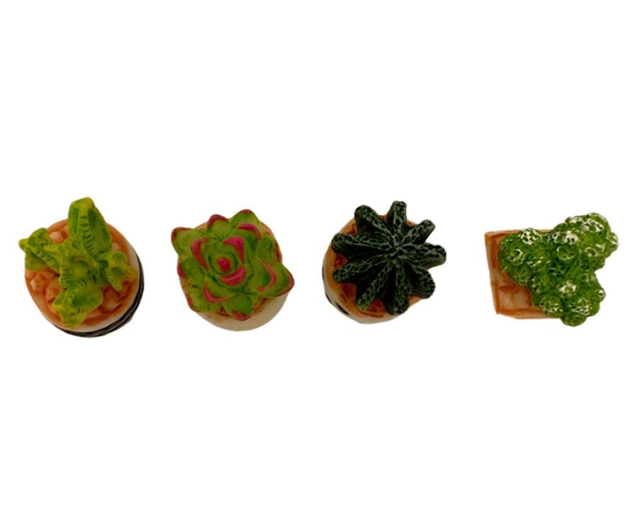 Miniatyr – Små kaktusar i kruka, 4 st blommor till dockhus